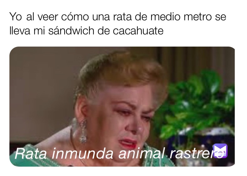 Yo al veer cómo una rata de medio metro se lleva mi sándwich de cacahuate