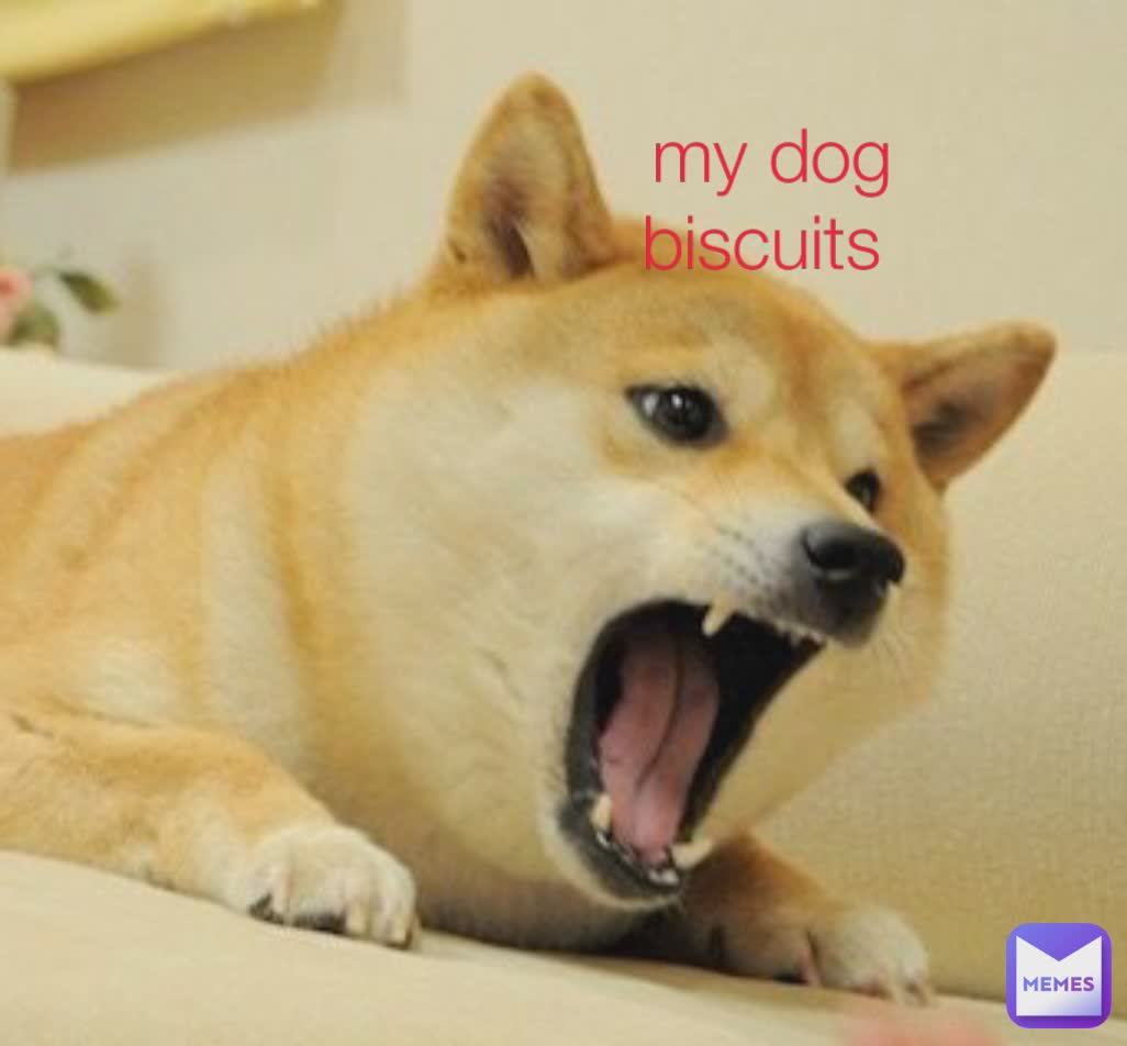 my dog biscuits 