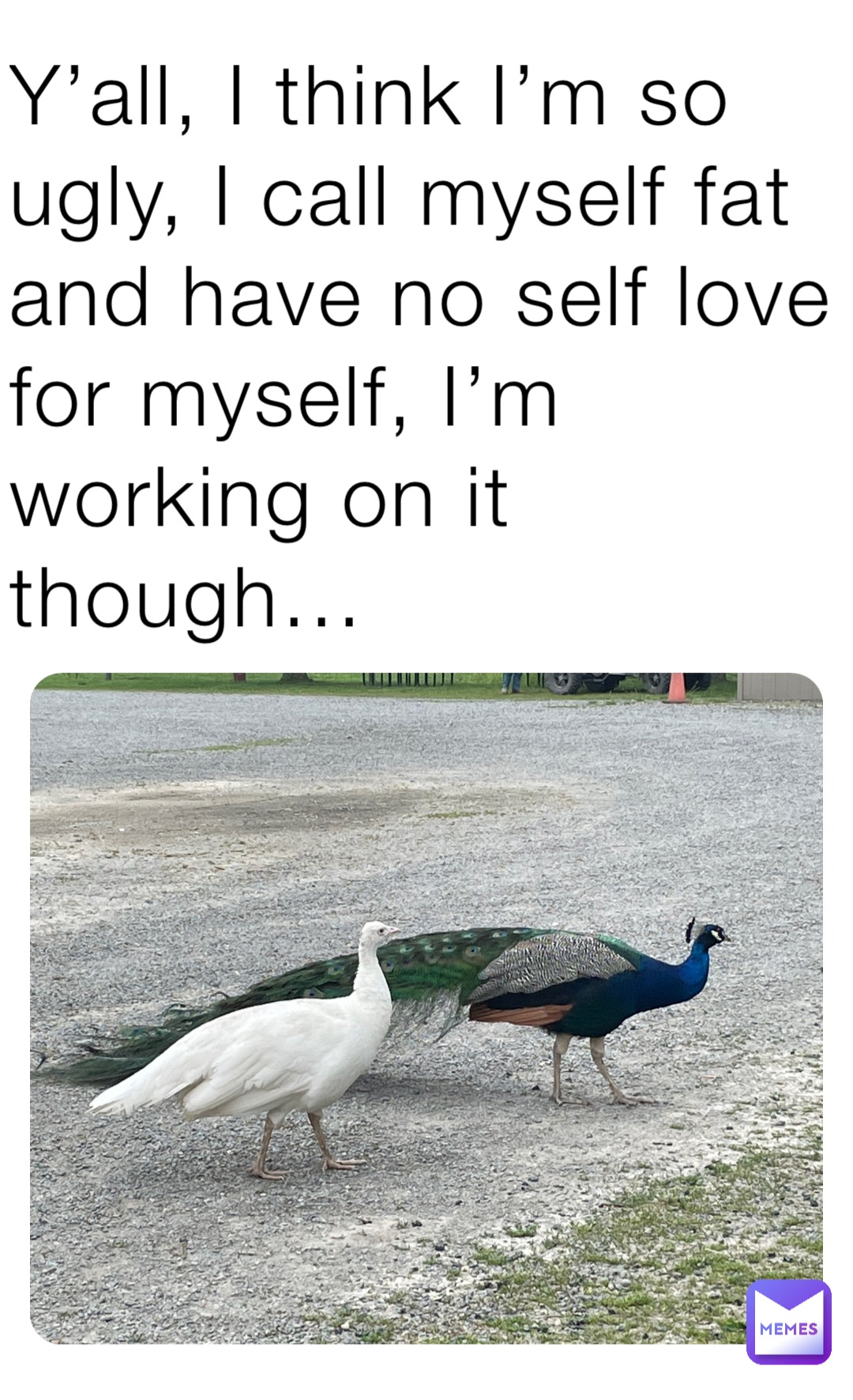 Y’all, I think I’m so ugly, I call myself fat and have no self love for myself, I’m working on it though…