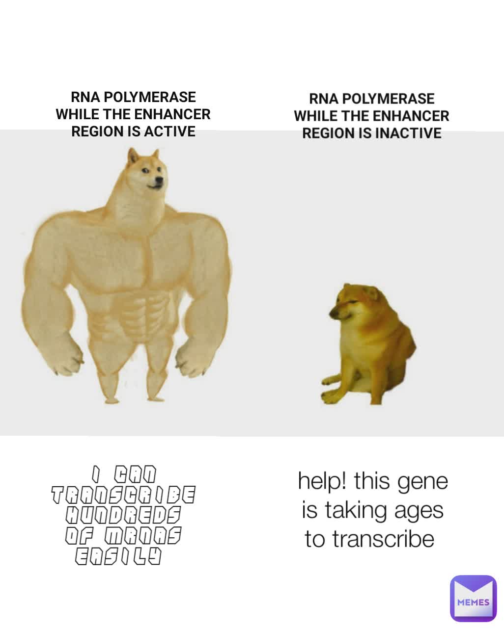 Meme by noobmaster77