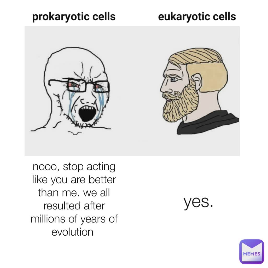prokaryotic cells eukaryotic cells yes. nooo, stop acting like you are better than me. we all resulted after millions of years of evolution 
