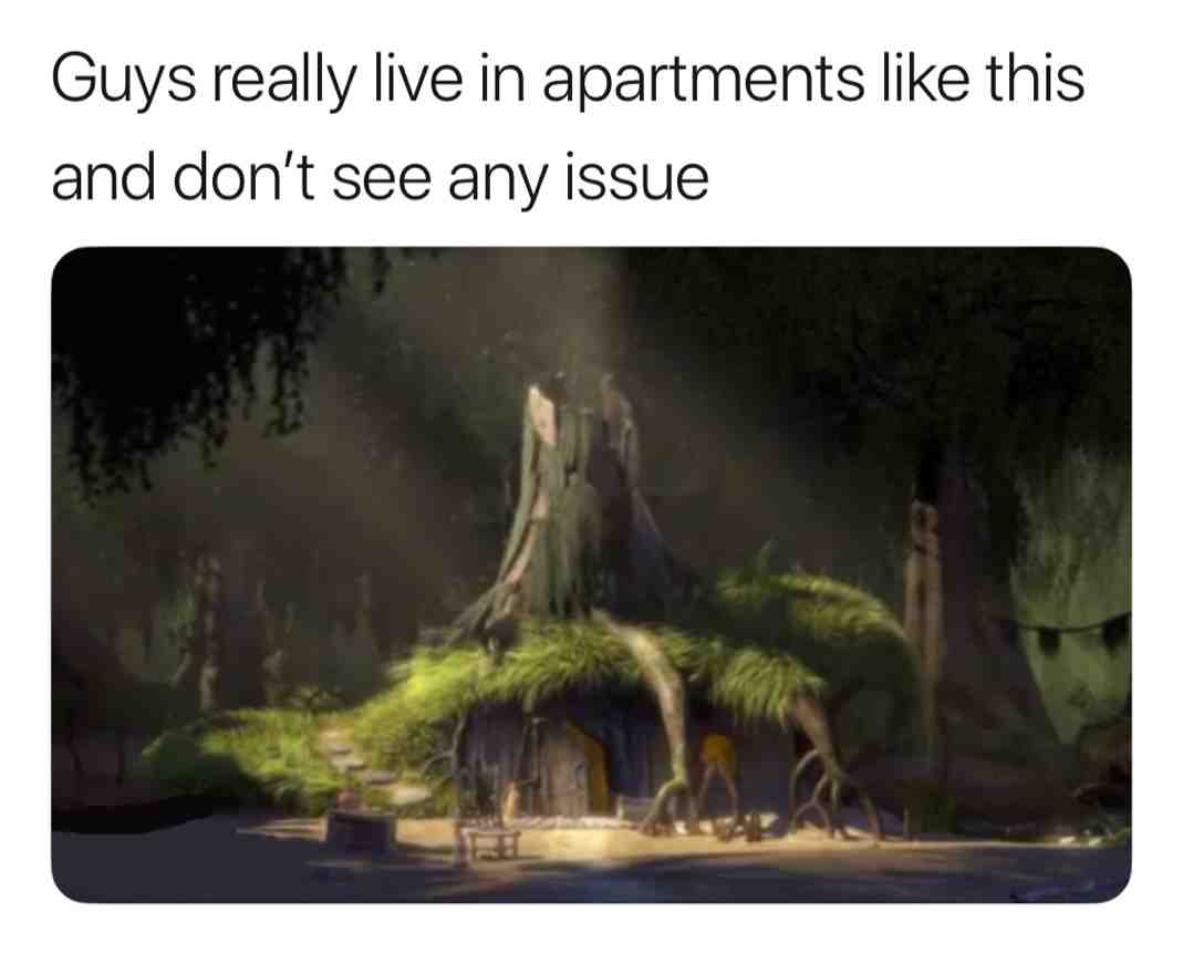 Shreks house is wack #meme #shrek #funny