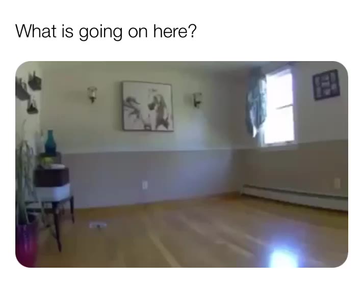Poor pup