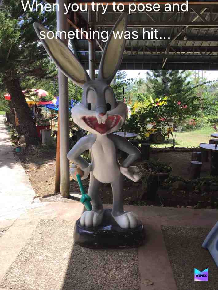 😂 #bugsbunny #hit #try #pose