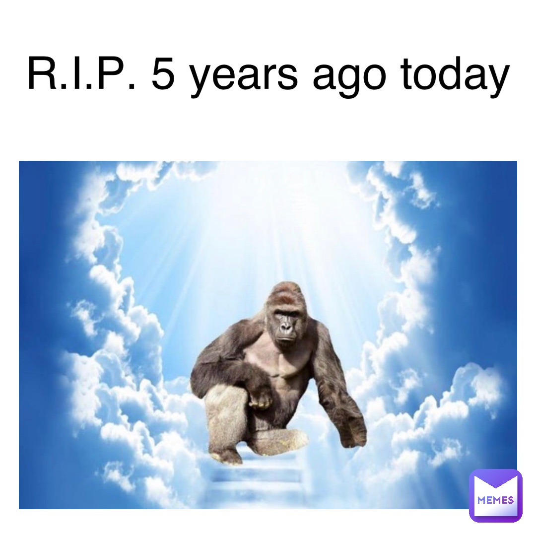 Meme by memes.r.funny