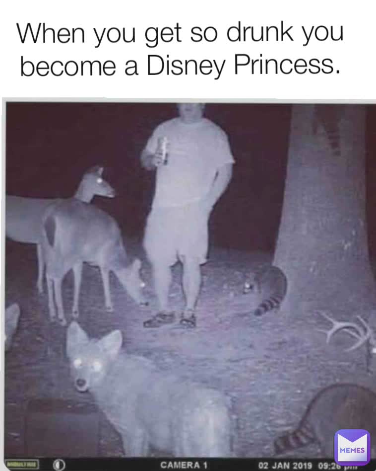 When you get so drunk you become a Disney Princess.