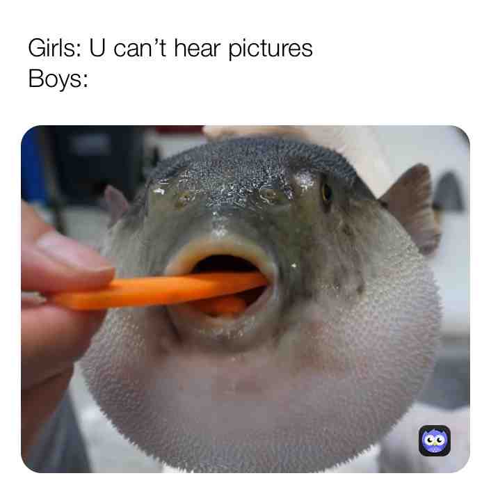 Meme shared by @dhvfhbgjmiijk