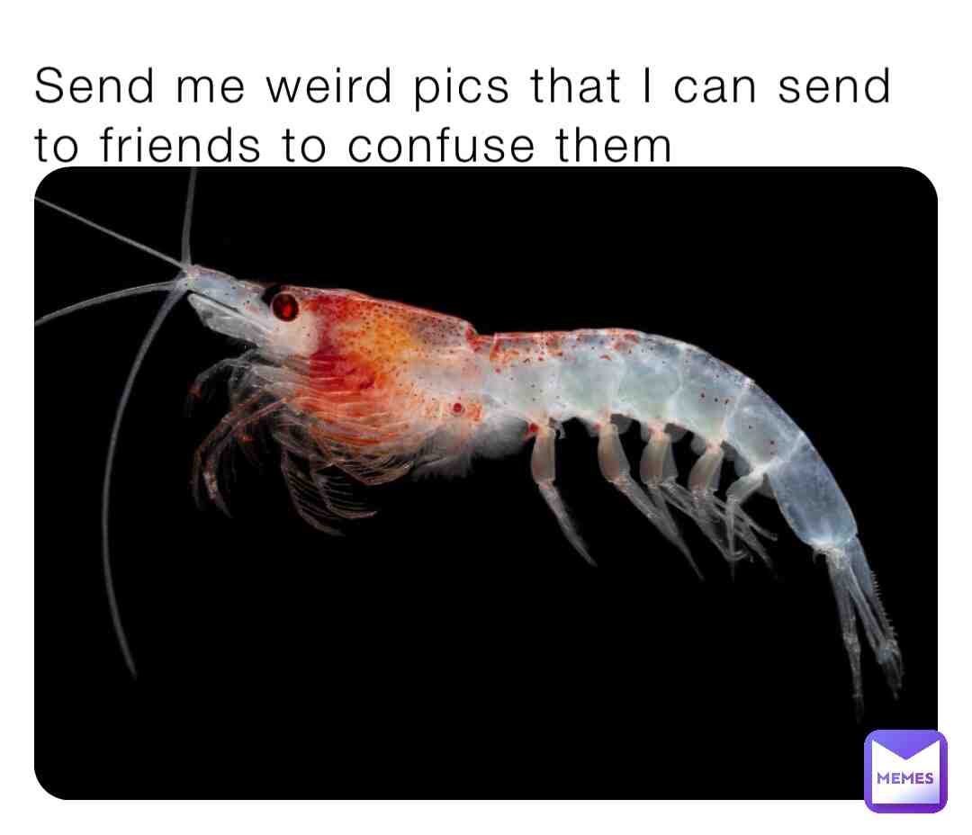 Meme shared by @Garlok