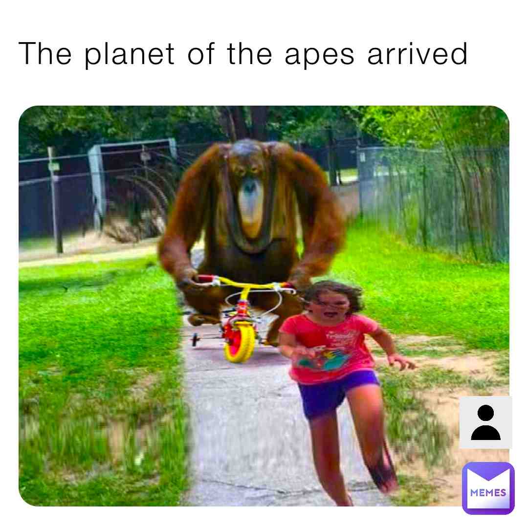 Meme shared by @mmmm4