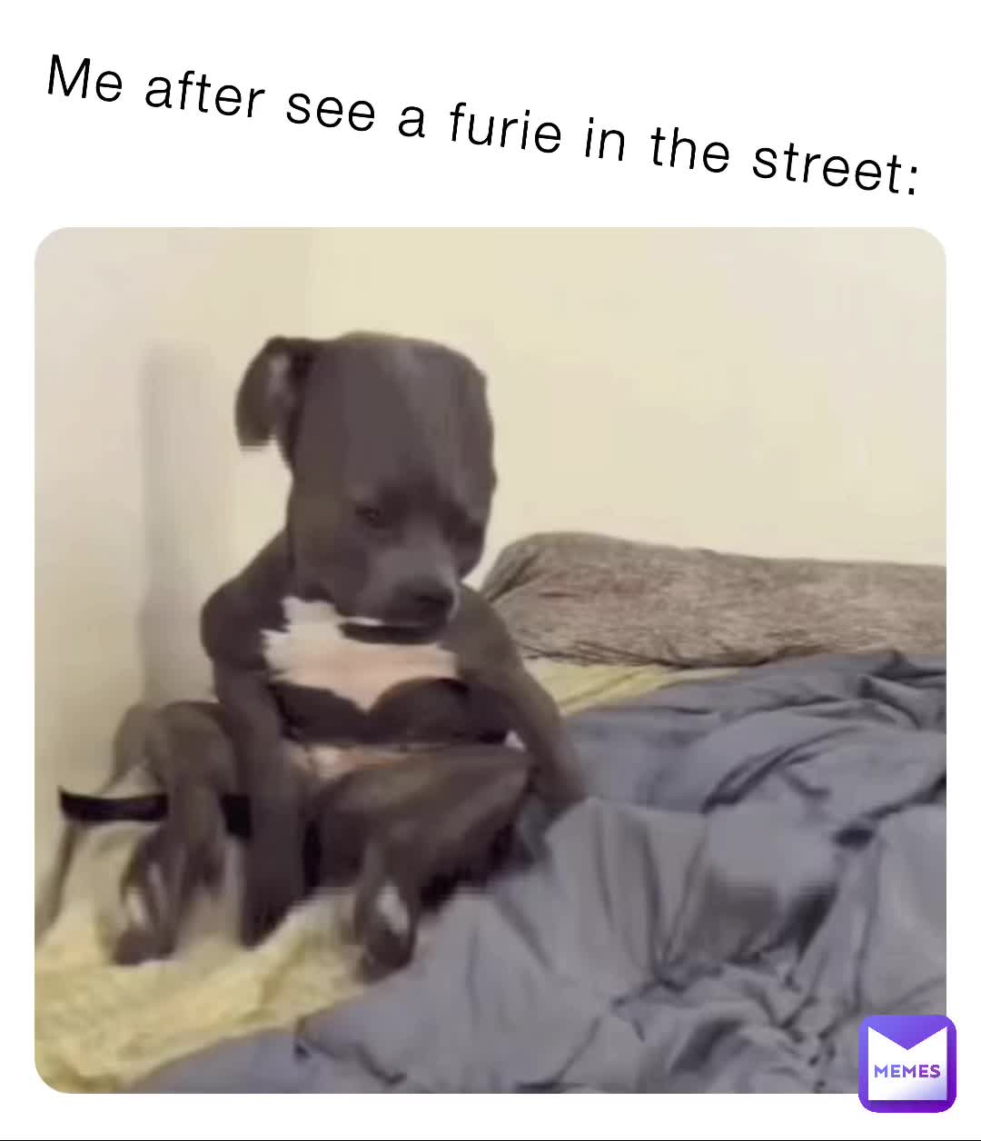 Sorry if I ofend someone
