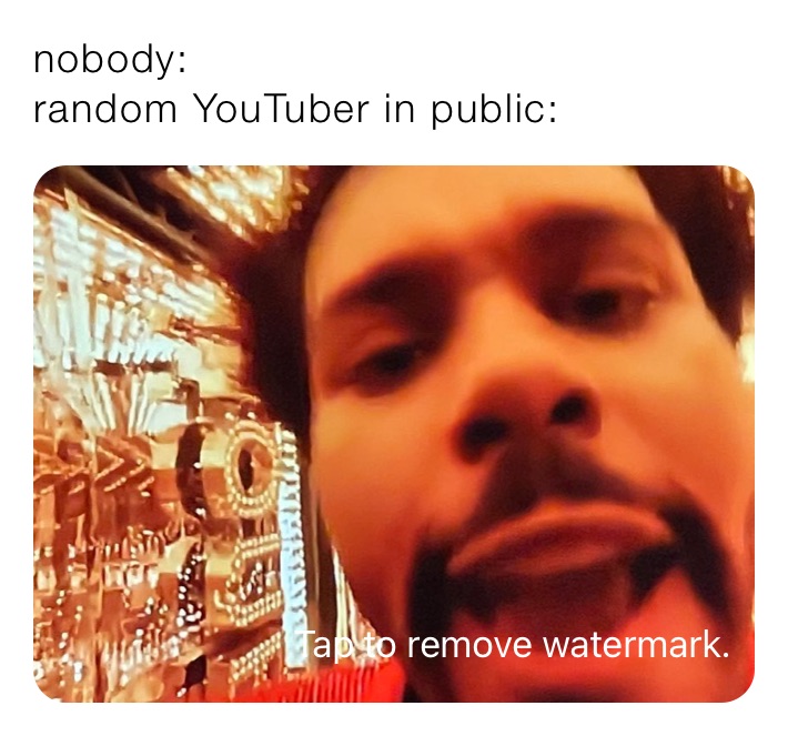 nobody:
random YouTuber in public: