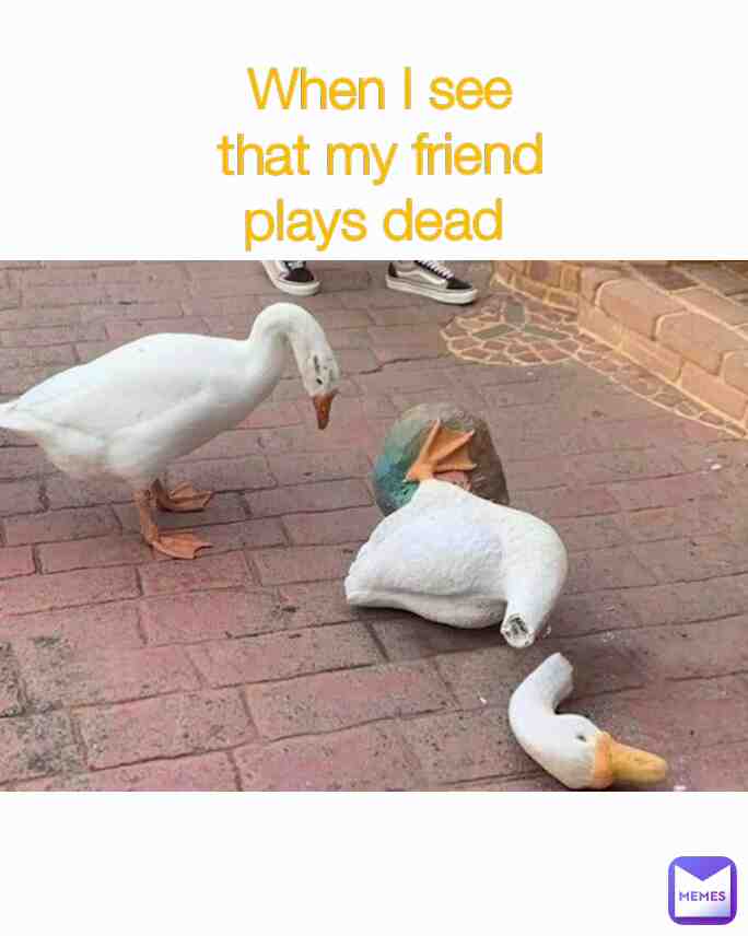 Meme shared by @helloqjs