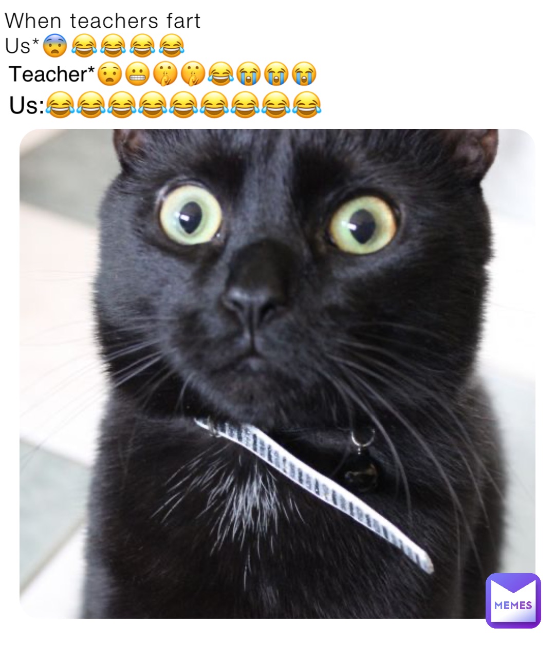 When teachers fart
Us*😨😂😂😂😂 Teacher*😧😬🤫🤫😂😭😭😭 Us:😂😂😂😂😂😂😂😂😂