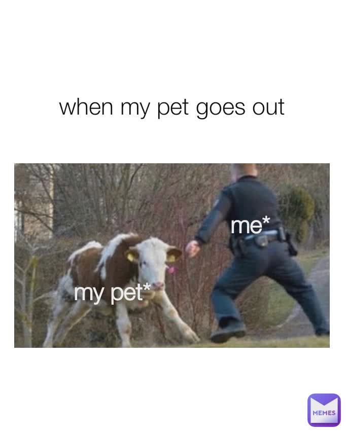 when my pet goes out me* my pet*