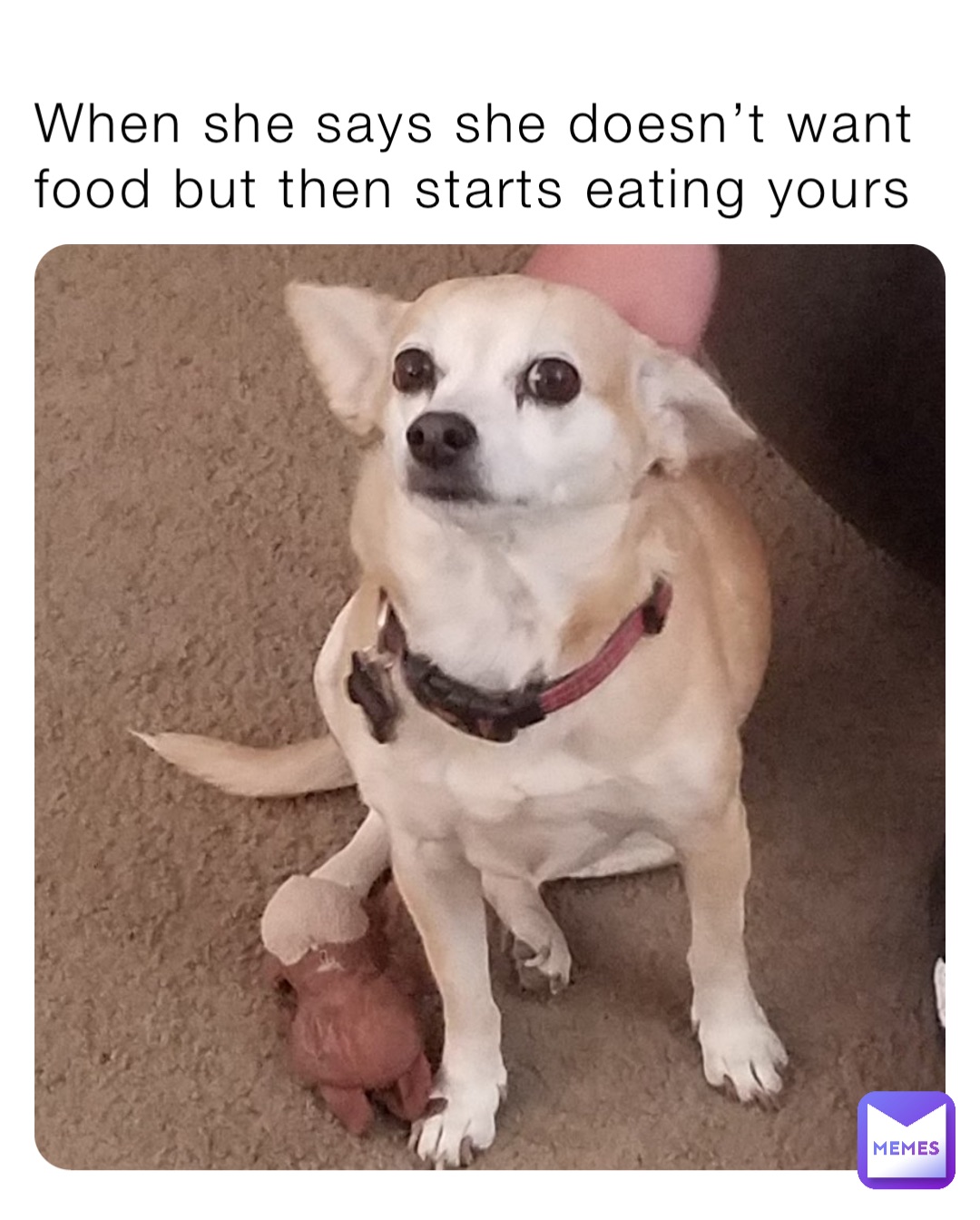 When she says she doesn’t want food but then starts eating yours