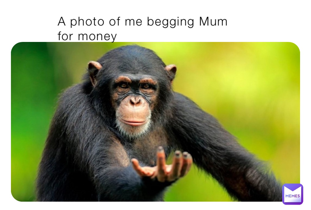 A photo of me begging Mum for money