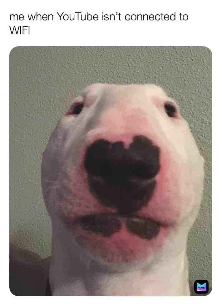 Has the same happened to you #doge #walter