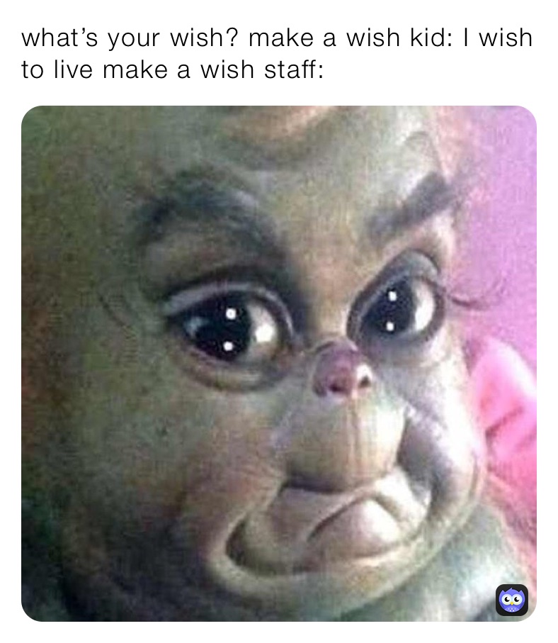 what’s your wish? make a wish kid: I wish to live make a wish staff: