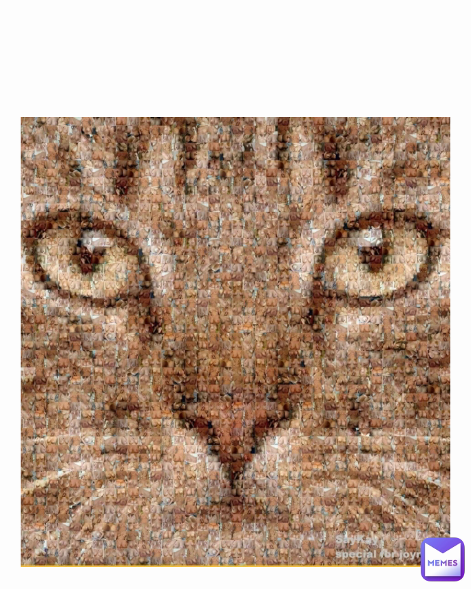 Type Text