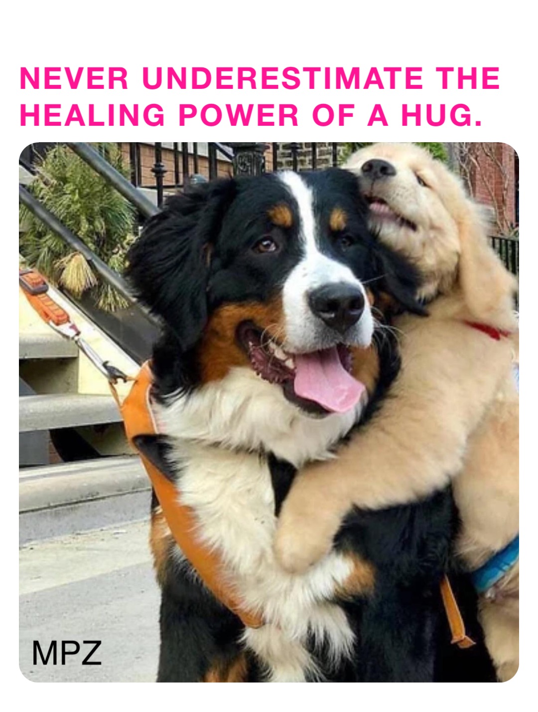 NEVER UNDERESTIMATE THE HEALING POWER OF A HUG. MPZ