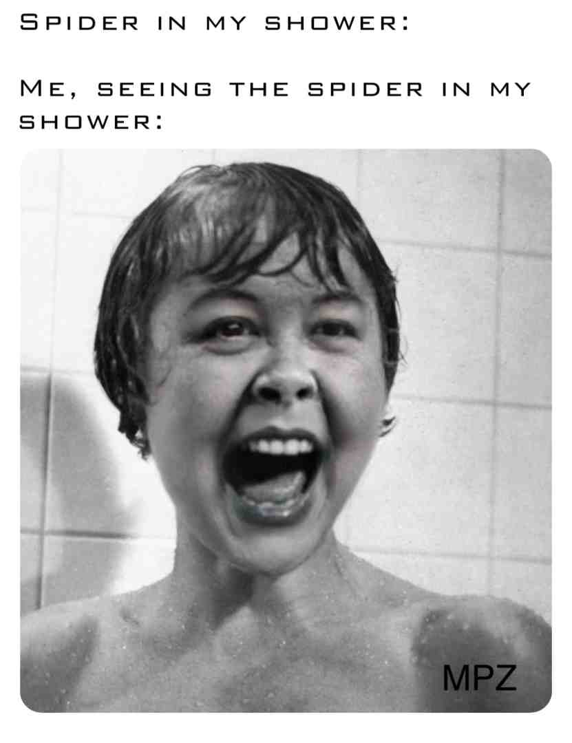 #shower  #spider