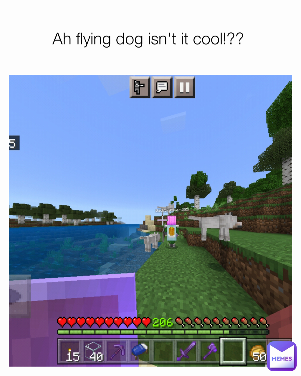 Ah flying dog isn't it cool!?? 