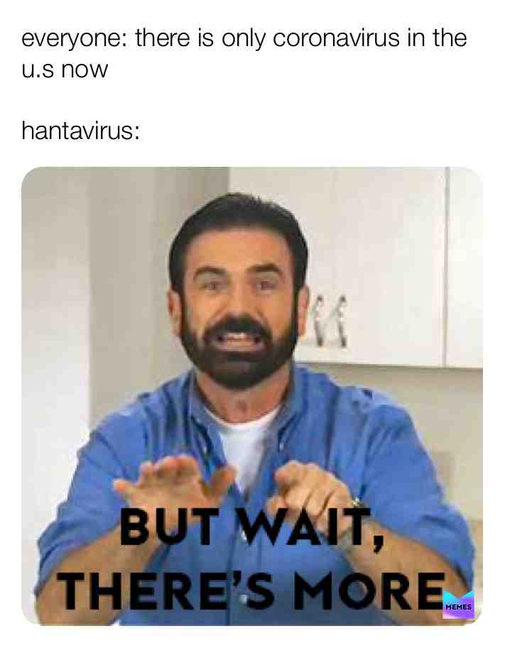 whyyyy #relatable #memesdaily #oof #sadness #memers #quarantine #coronavirus #home #quarantinememe #coronavirusmemes #hantavirus #hantavirusmemes