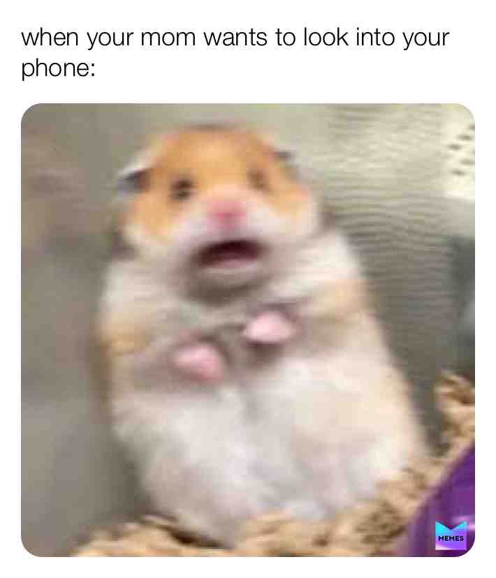 ooF #memesdaily #relatable #andioop #memers #sadness #oof #home #mom #phone