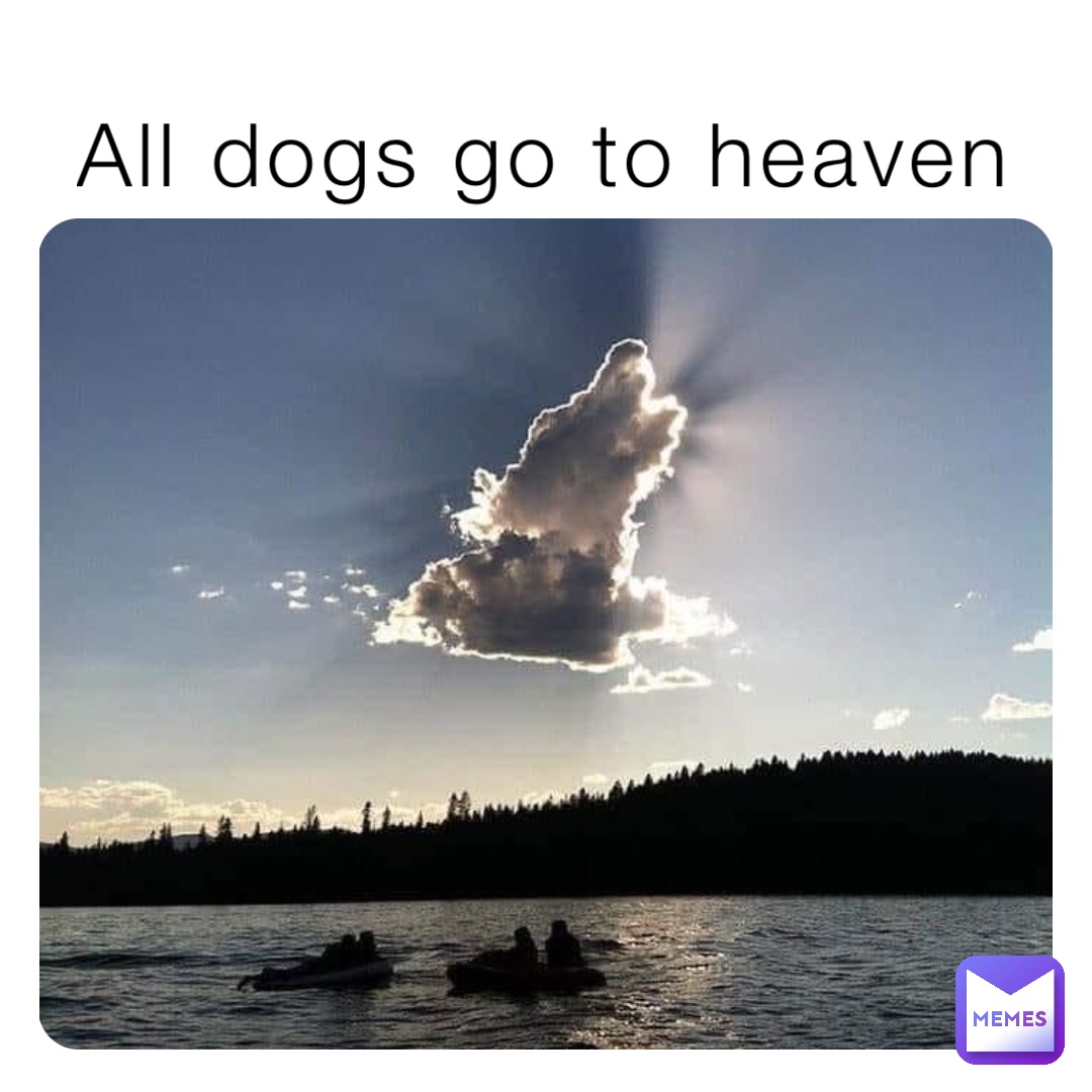 All dogs go to heaven