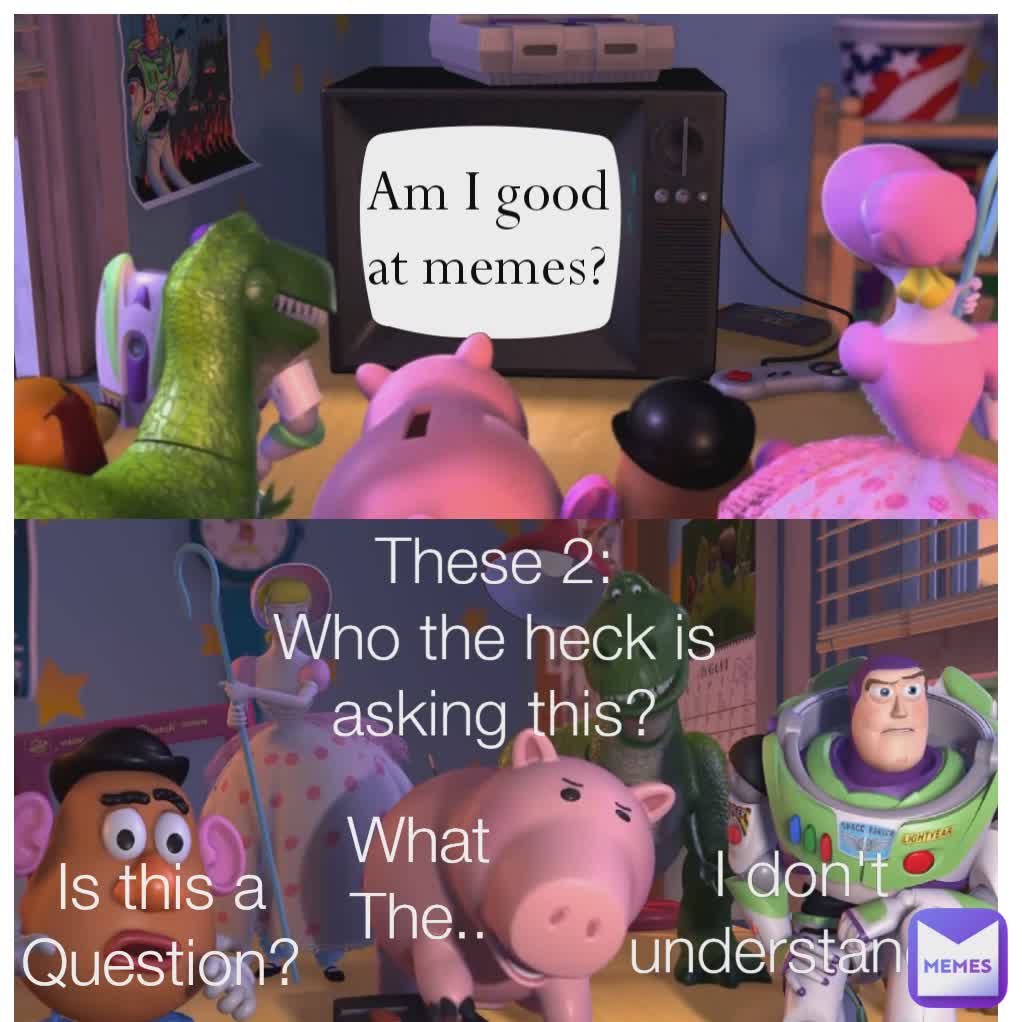 Am i good at memes what the i don t understand is this a question