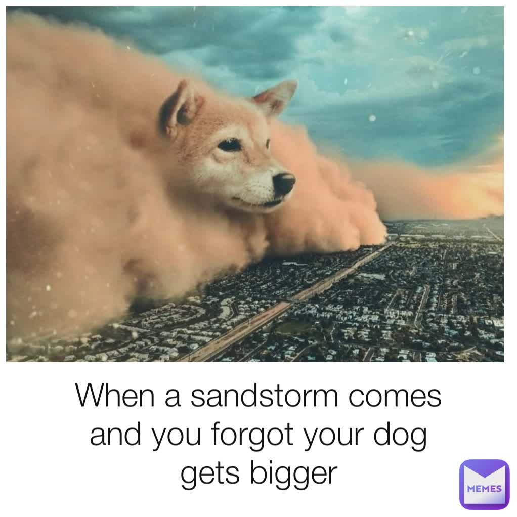 When a sandstorm comes and you forgot your dog gets bigger