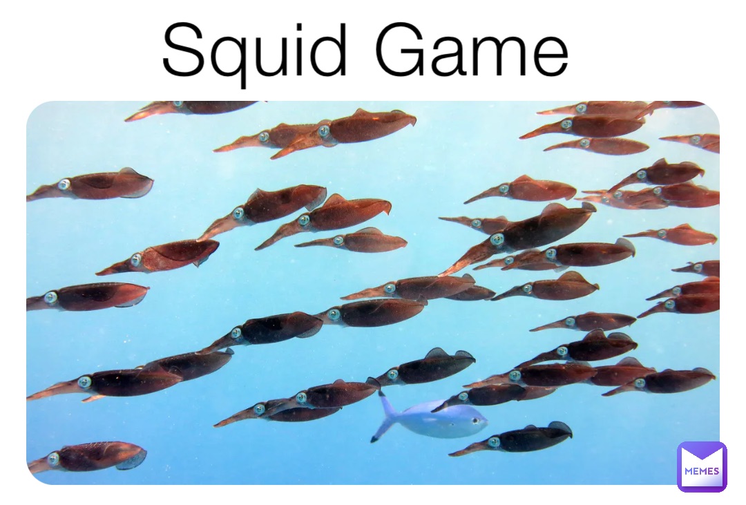 Squid Game