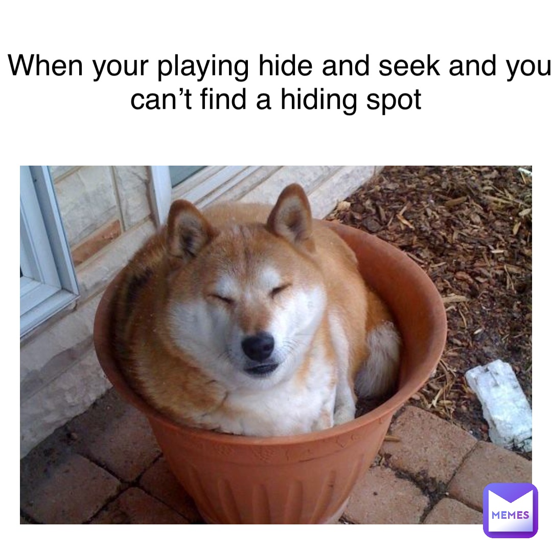 Text Here when your playing hide and seek and you can’t find a hiding spot