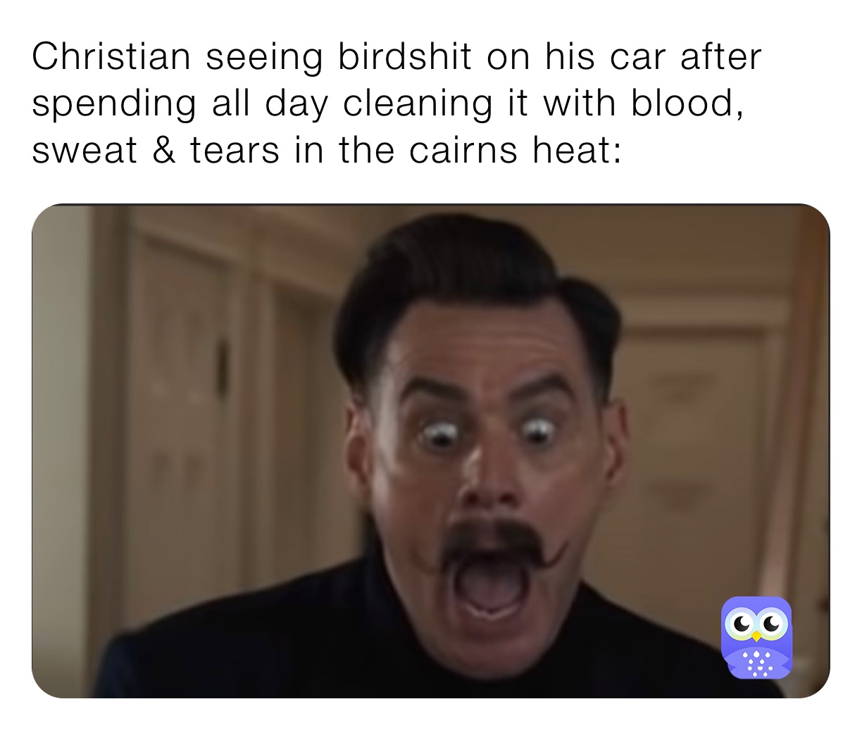 Christian seeing birdshit on his car after spending all day cleaning it with blood, sweat & tears in the cairns heat: