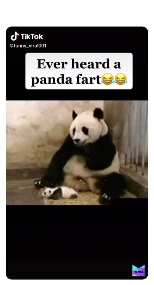sad panda memes