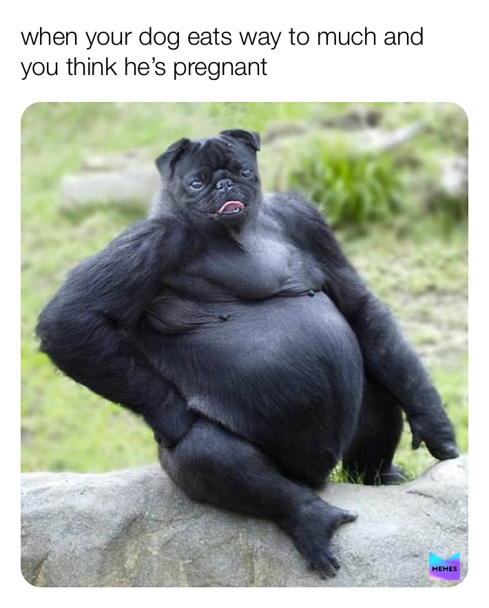 Meme by funnymemes214