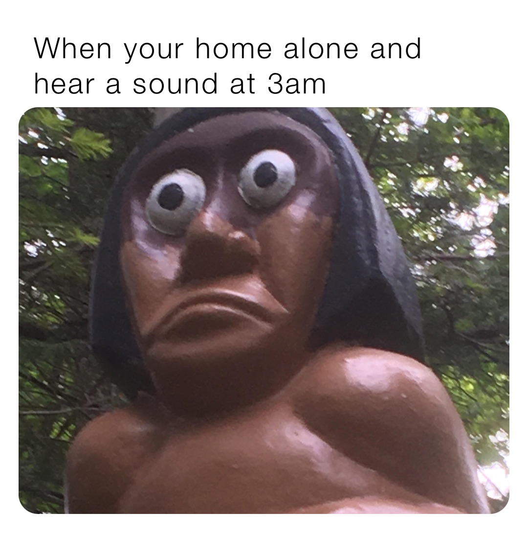 When your home alone and hear a sound at 3am | @MEMES_IS_LIFE_LIFE | Memes