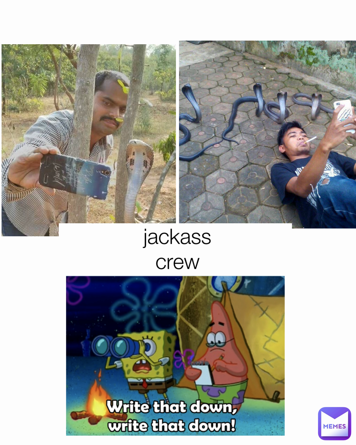 jackass crew