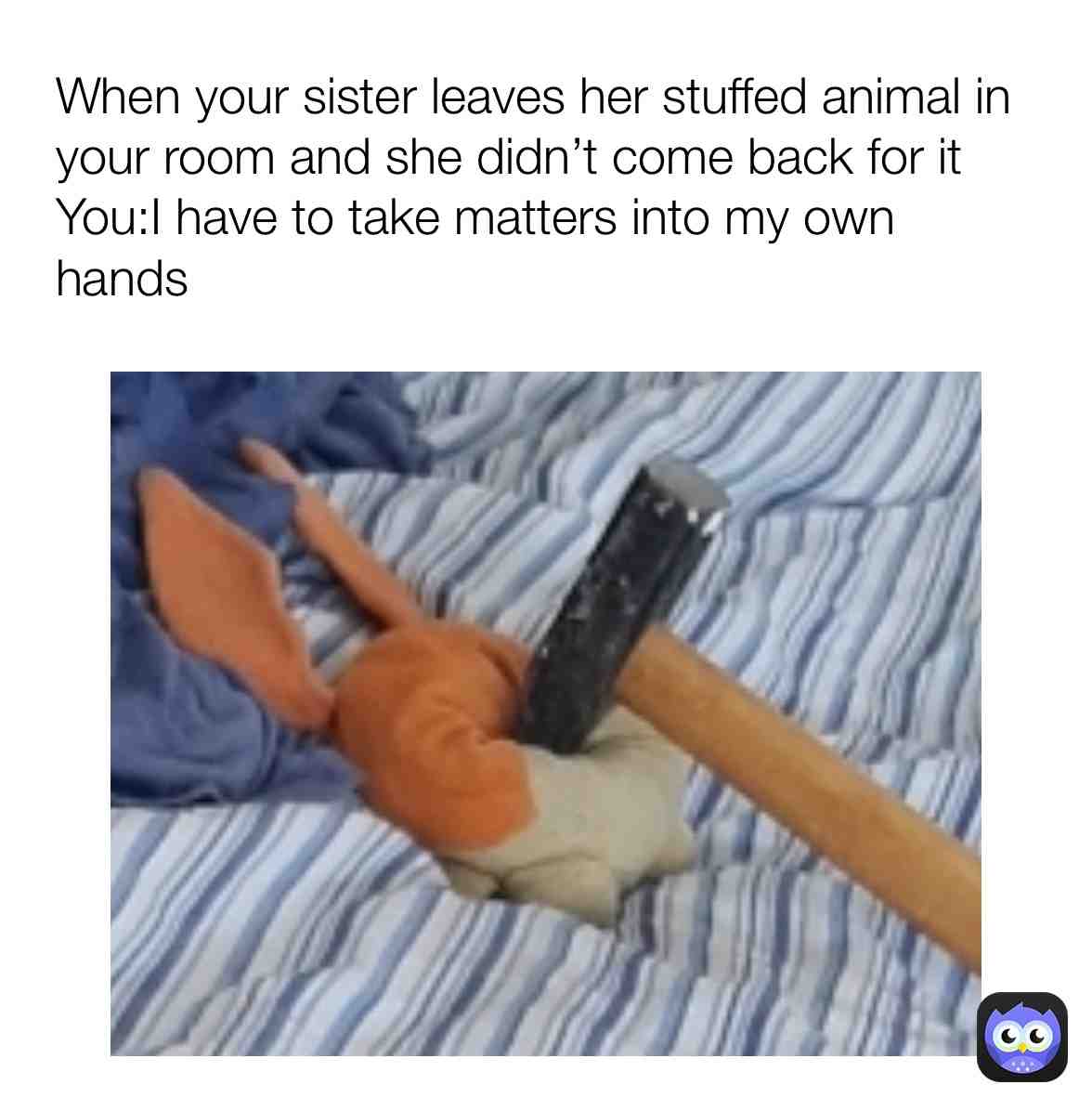 Hate your sister now