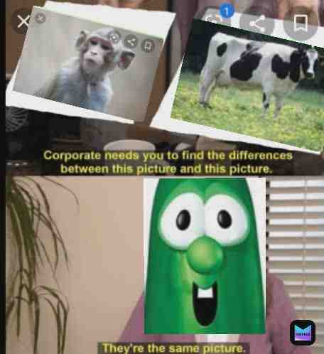 Meme shared by @CAPlife
