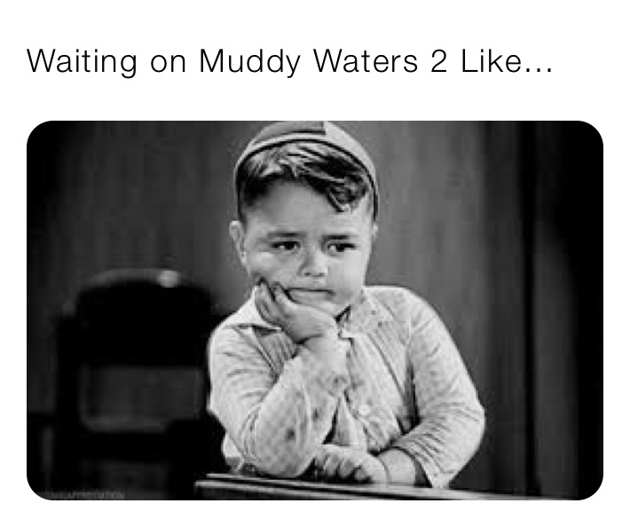 Waiting on Muddy Waters 2 Like...