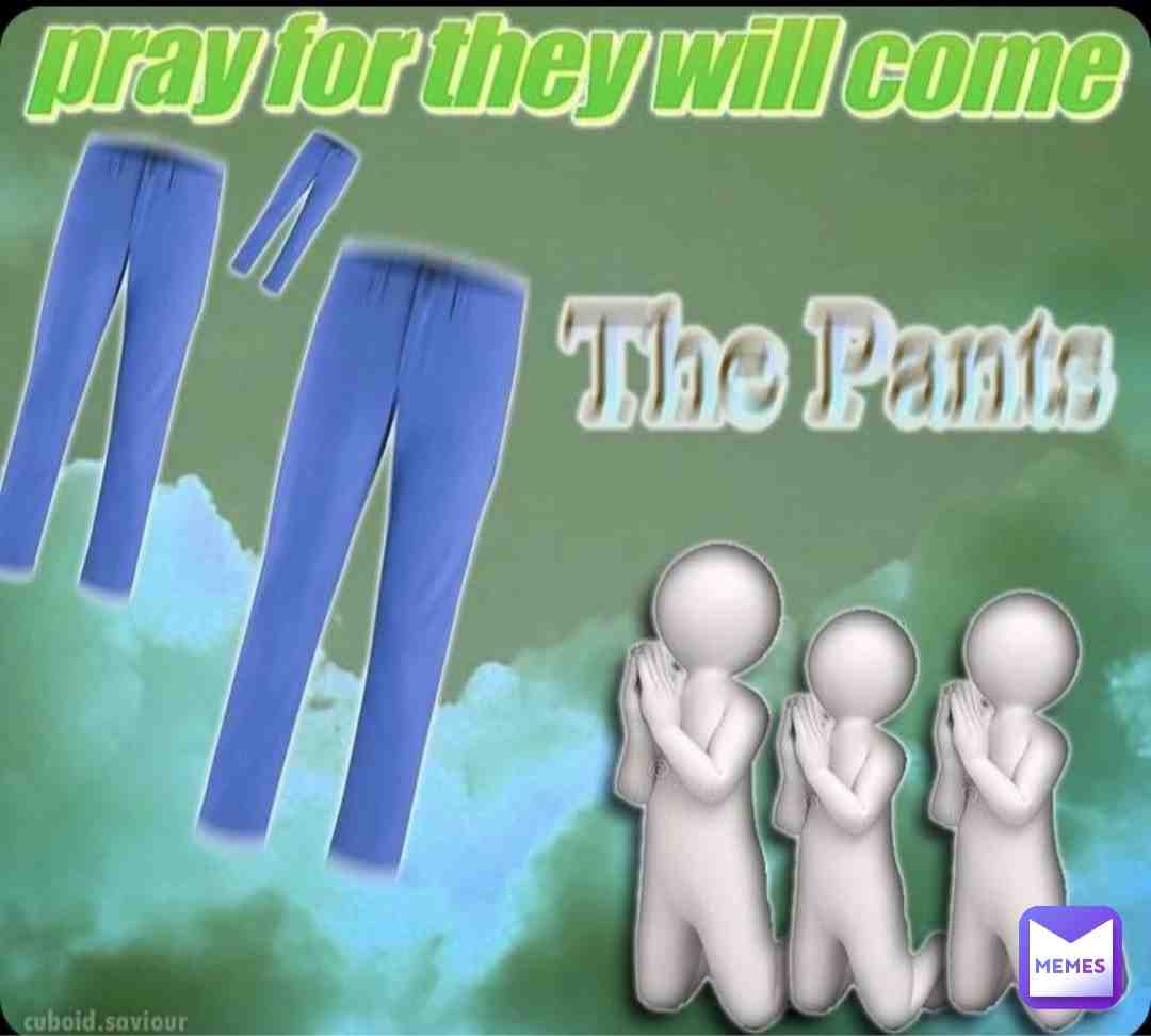 p a n t s