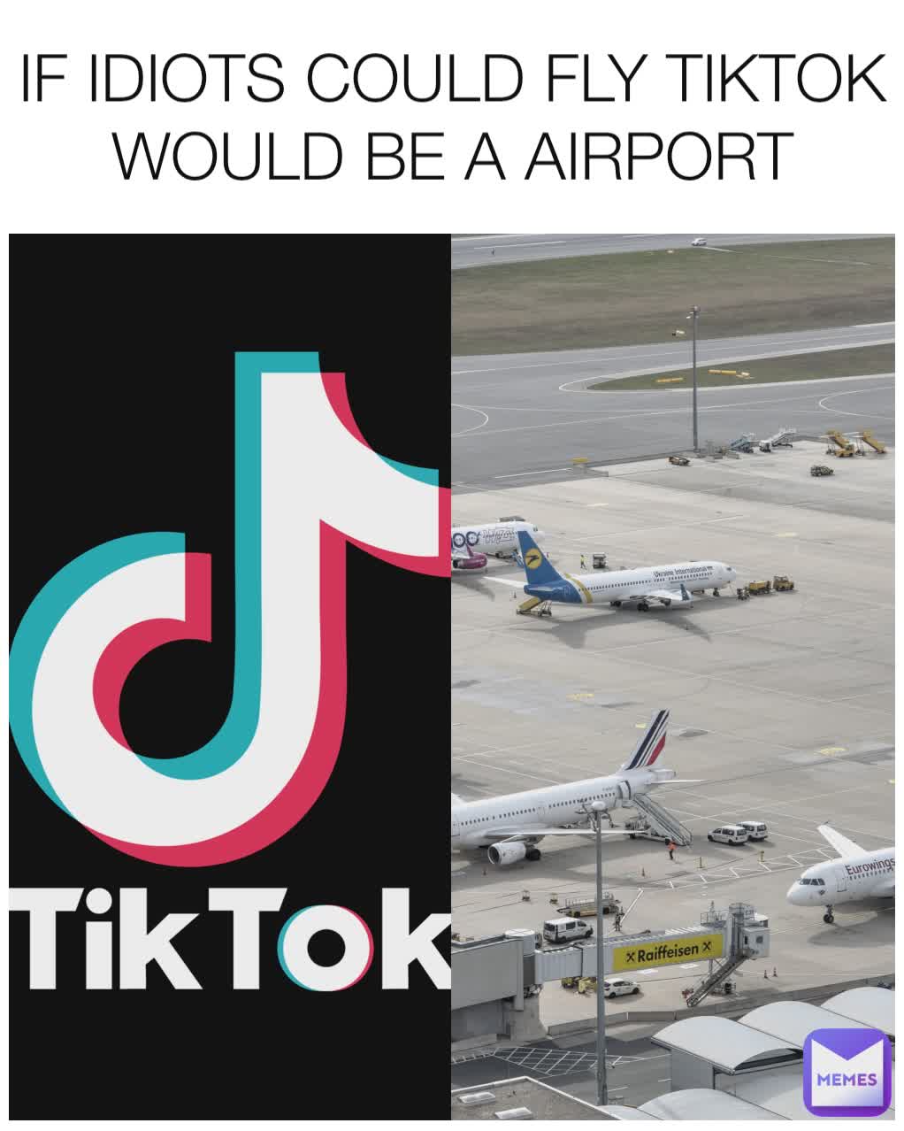 IF IDIOTS COULD FLY TIKTOK WOULD BE A AIRPORT