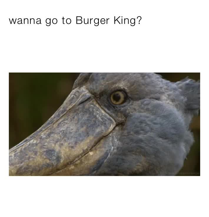 Meme preview