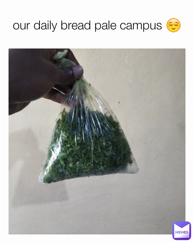 our daily bread pale campus 😌