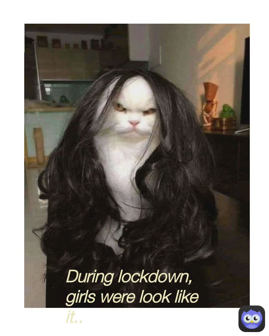 Meme by sheheriyars_meme