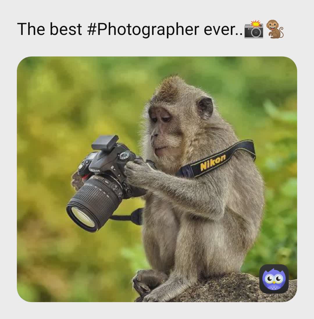 Meme by sheheriyars_meme