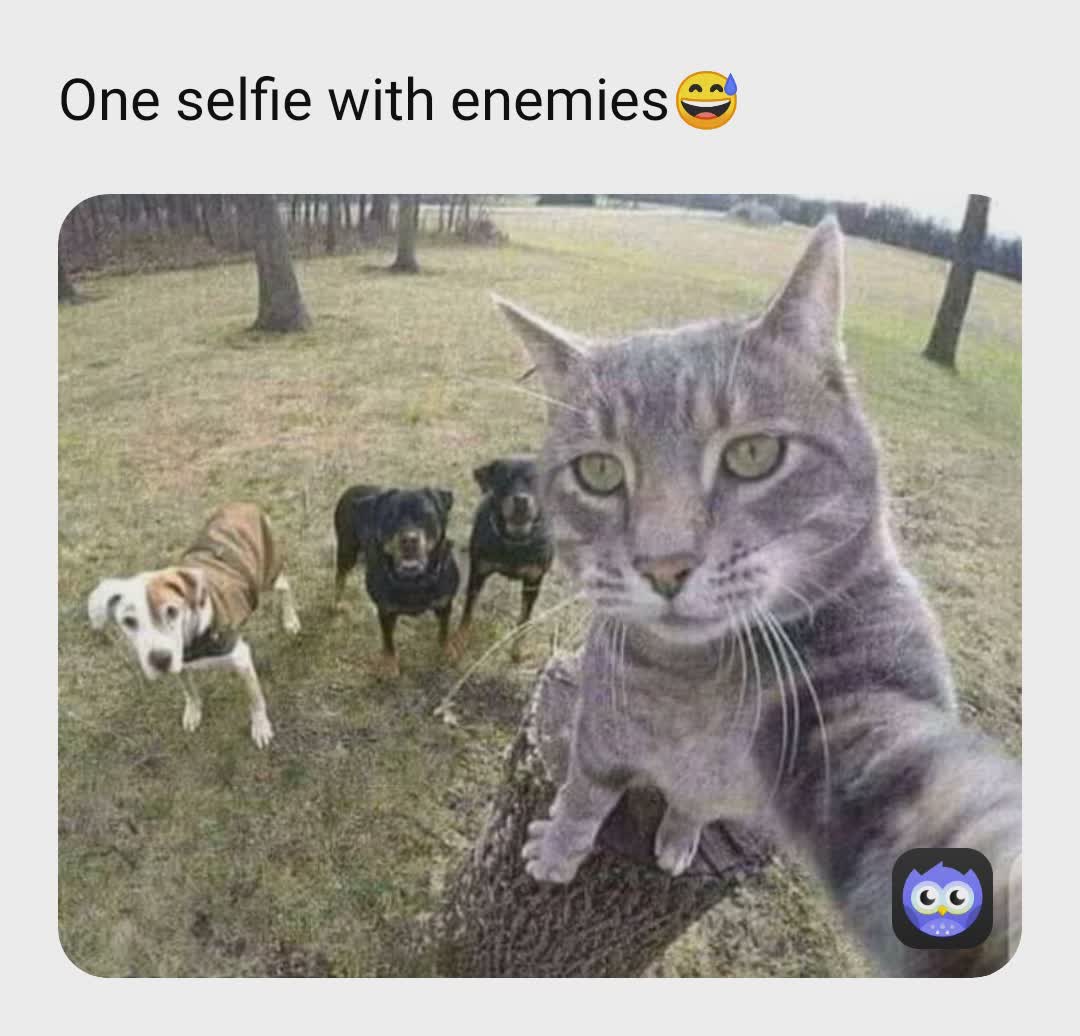 Meme by sheheriyars_meme