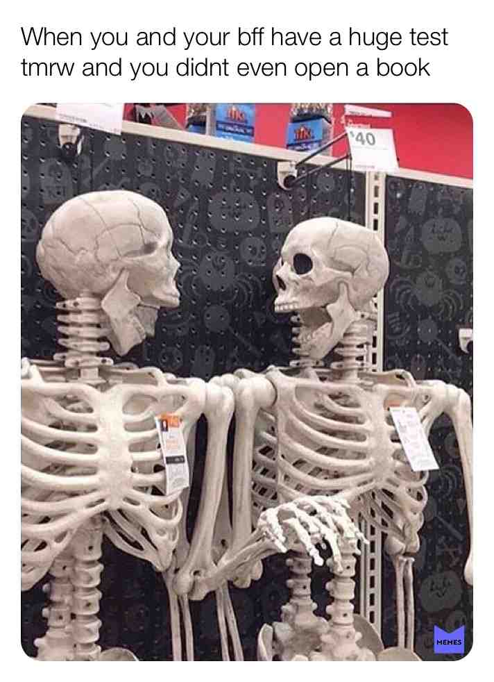 That\u2019s me \ud83d\ude02\ud83d\ude02\ud83d\udc4c #bff #memes #school #tweets #follow4follow #2018 #2019
#memes #lol #school #schoolmemes #satisfying #halloween #memes #halloweenmemes #funnyquotes #funny #quotesaboutlife #quotes #followforfollow #follow4follow #likeforlike #like4like #laugh #joke #jokes #funnyjokes #schooljokee #schooltweete #textjokes #text #textpost #amemes_22