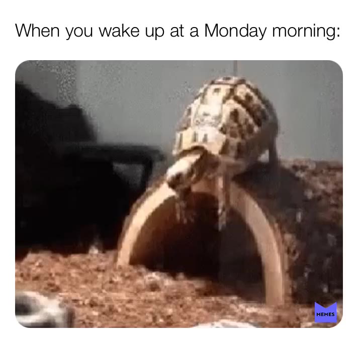#bff #memes #school #tweets #follow4follow #2018 #2019 
 #memes #lol #school #schoolmemes #satisfying  #halloween #memes #halloweenmemes #funnyquotes #funny #quotesaboutlife #quotes #followforfollow #follow4follow #likeforlike #like4like #laugh #joke #jokes #funnyjokes #schooljokee #schooltweete #textjokes #text #textpost #amemes_22